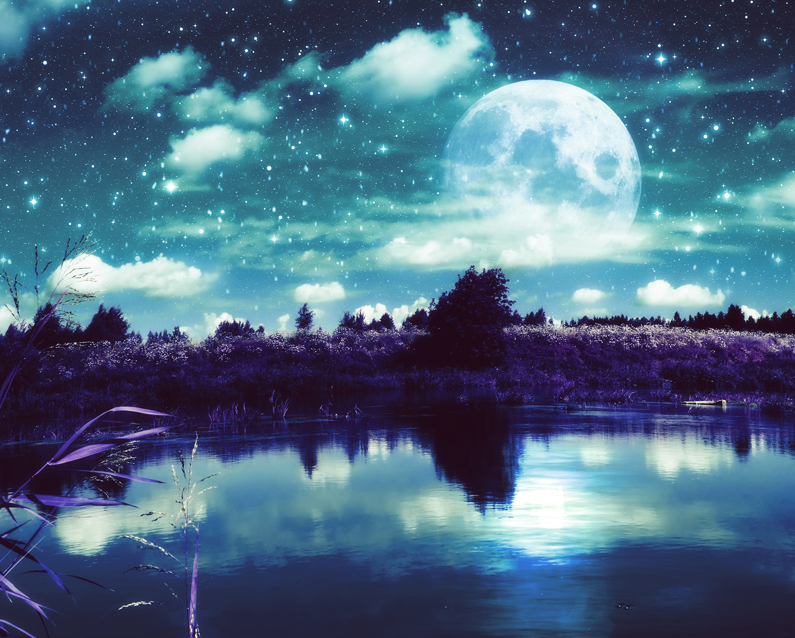 あたたかく、やわらかく。
人生に光を届けます。